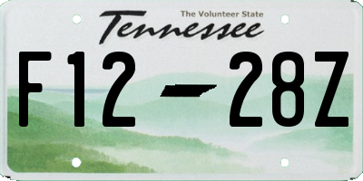 TN license plate F1228Z
