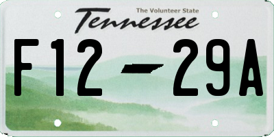 TN license plate F1229A
