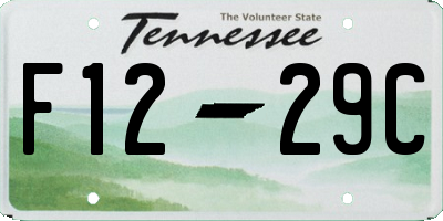 TN license plate F1229C