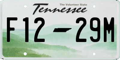TN license plate F1229M
