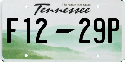 TN license plate F1229P