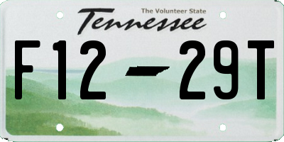 TN license plate F1229T