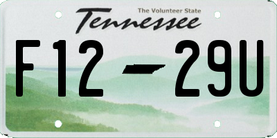 TN license plate F1229U