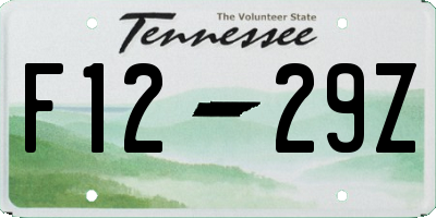 TN license plate F1229Z