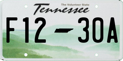 TN license plate F1230A