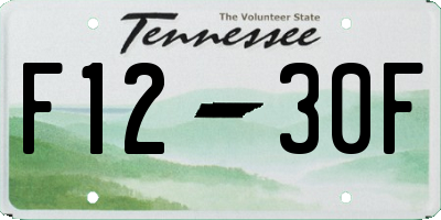 TN license plate F1230F