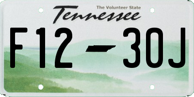 TN license plate F1230J