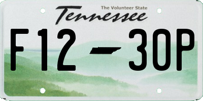 TN license plate F1230P