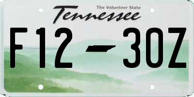 TN license plate F1230Z