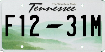 TN license plate F1231M