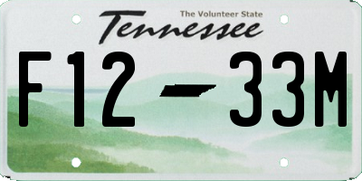 TN license plate F1233M
