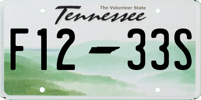 TN license plate F1233S