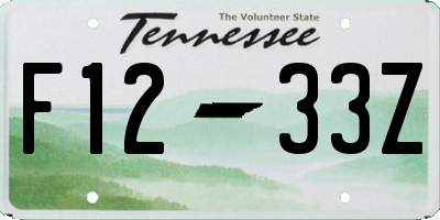 TN license plate F1233Z