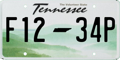 TN license plate F1234P