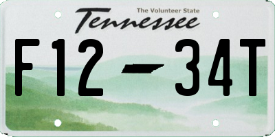 TN license plate F1234T