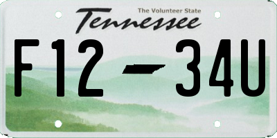 TN license plate F1234U