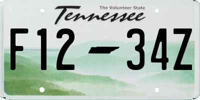 TN license plate F1234Z