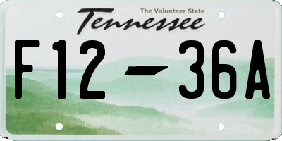 TN license plate F1236A