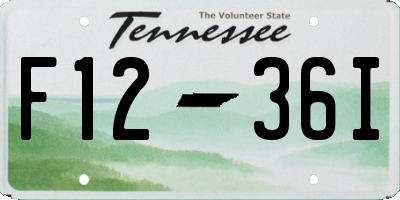 TN license plate F1236I