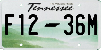 TN license plate F1236M