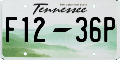 TN license plate F1236P
