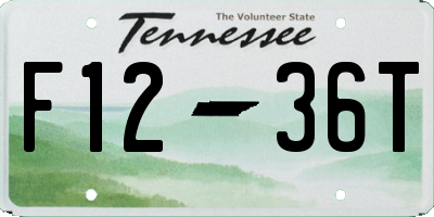 TN license plate F1236T