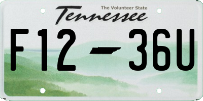 TN license plate F1236U