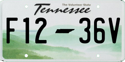 TN license plate F1236V