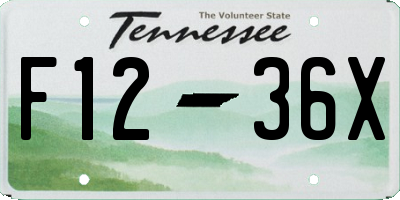 TN license plate F1236X