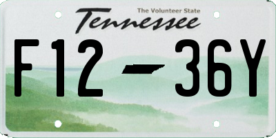 TN license plate F1236Y