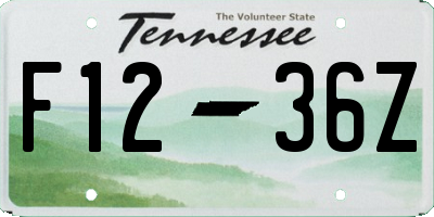 TN license plate F1236Z