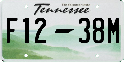 TN license plate F1238M