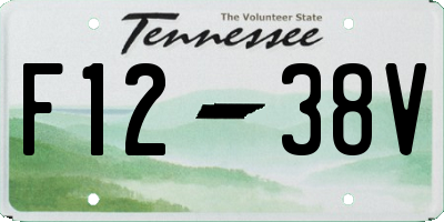 TN license plate F1238V