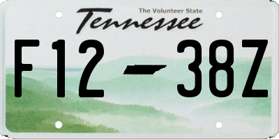 TN license plate F1238Z