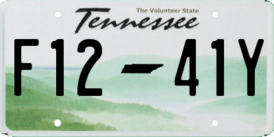 TN license plate F1241Y
