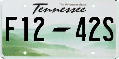 TN license plate F1242S