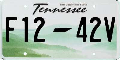 TN license plate F1242V