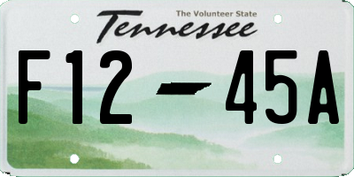 TN license plate F1245A