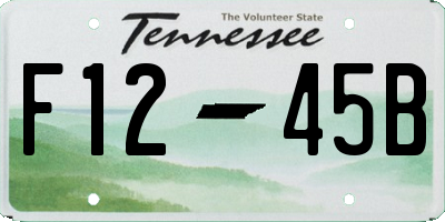 TN license plate F1245B