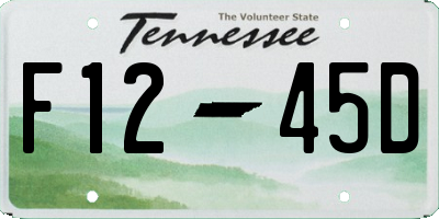TN license plate F1245D