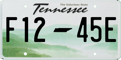 TN license plate F1245E