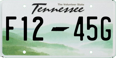 TN license plate F1245G