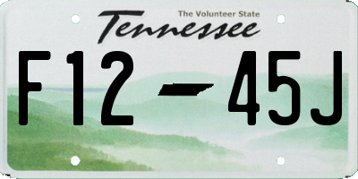 TN license plate F1245J
