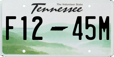 TN license plate F1245M
