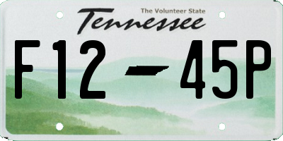 TN license plate F1245P