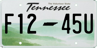 TN license plate F1245U