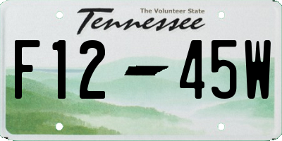 TN license plate F1245W