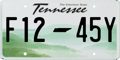 TN license plate F1245Y