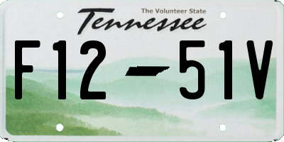 TN license plate F1251V