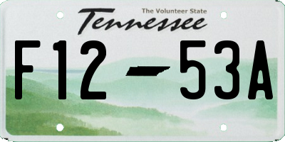 TN license plate F1253A